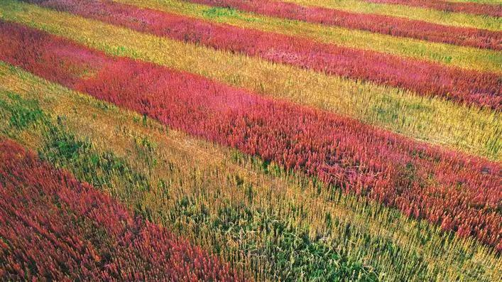 图片1.png 图片1.png