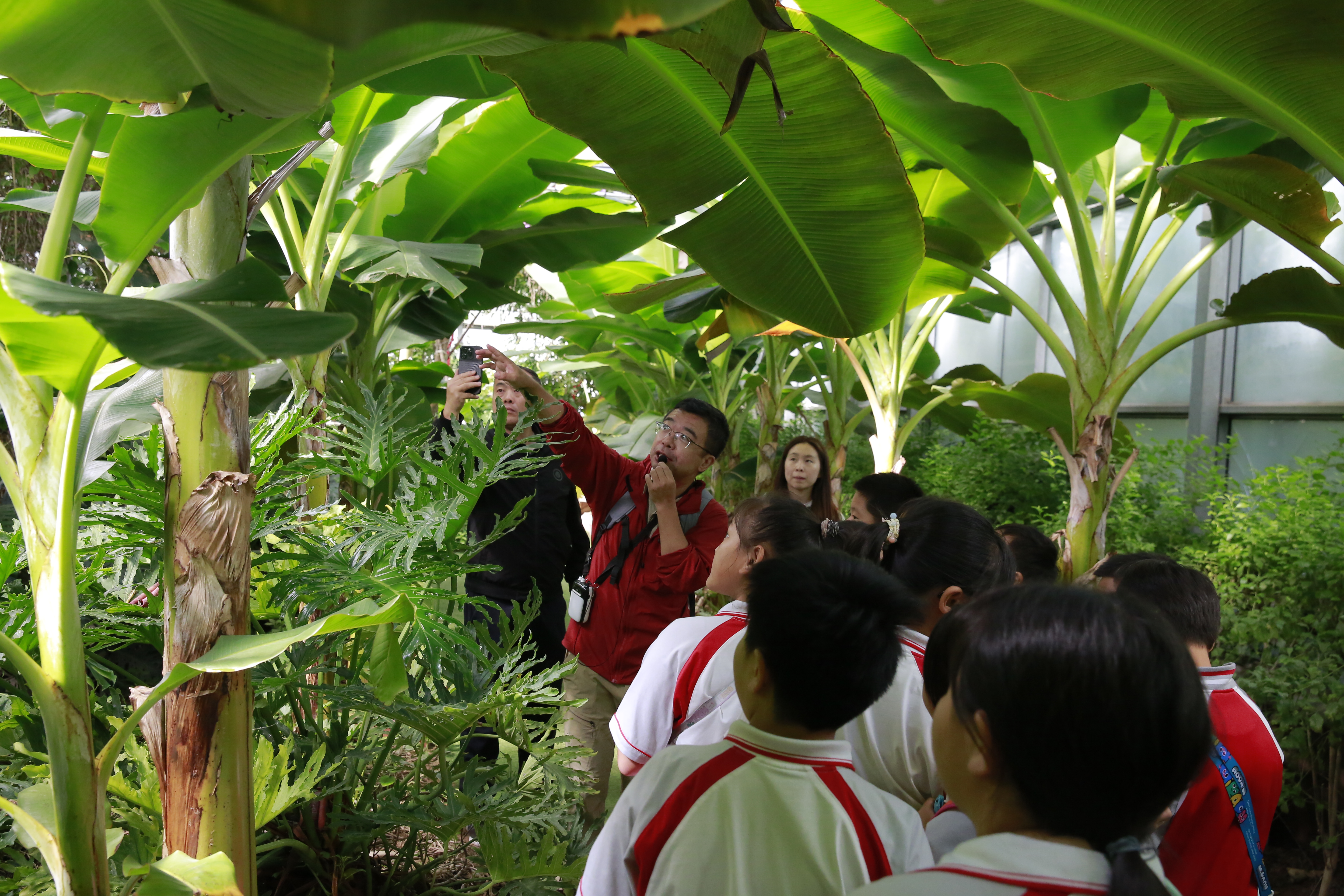 1.jpg 328ccf08e9fd42f7b619cac106bd247a.jpeg