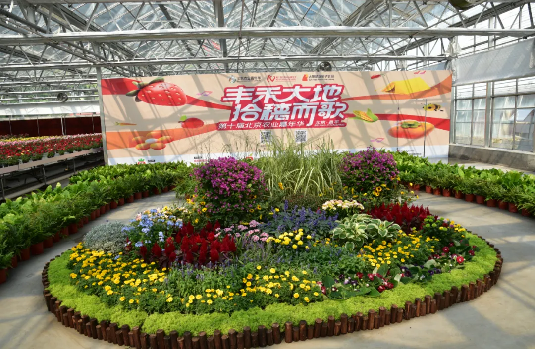 昌平2.png 0108165afa2e4ce09f722dc04bad1fe9.png