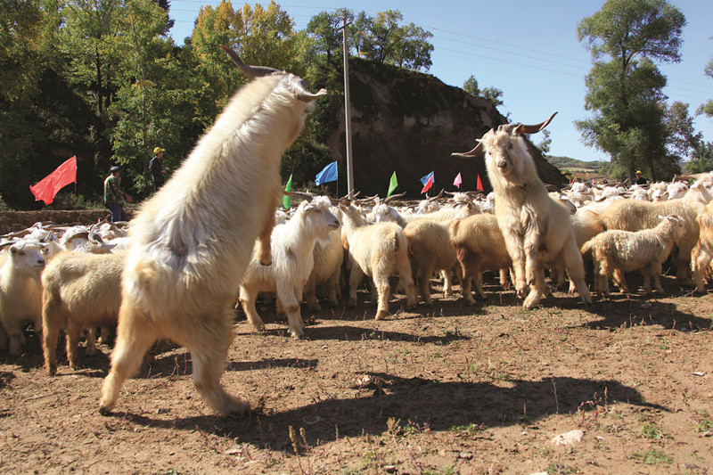 9952256_f80f41af2c3720c58a3726.JPG 9952256_f80f41af2c3720c58a3726.JPG