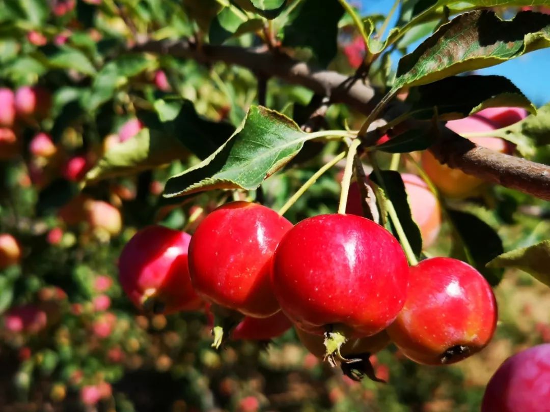 5238ef46bada4008ae1d71dd309170c5.jpeg 5238ef46bada4008ae1d71dd309170c5.jpeg