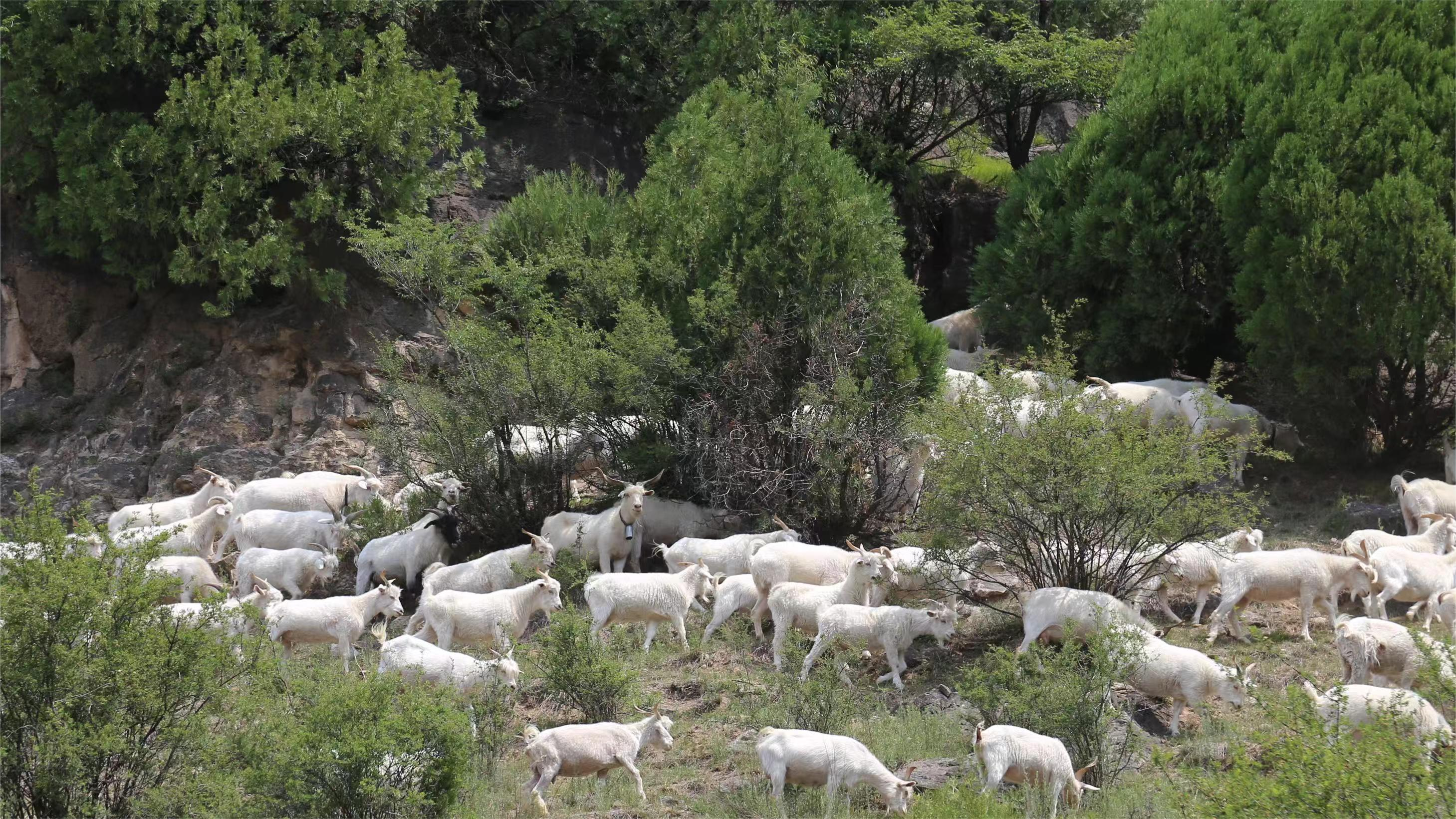 微信图片_20240922194847.png 微信图片_20240922194847.png