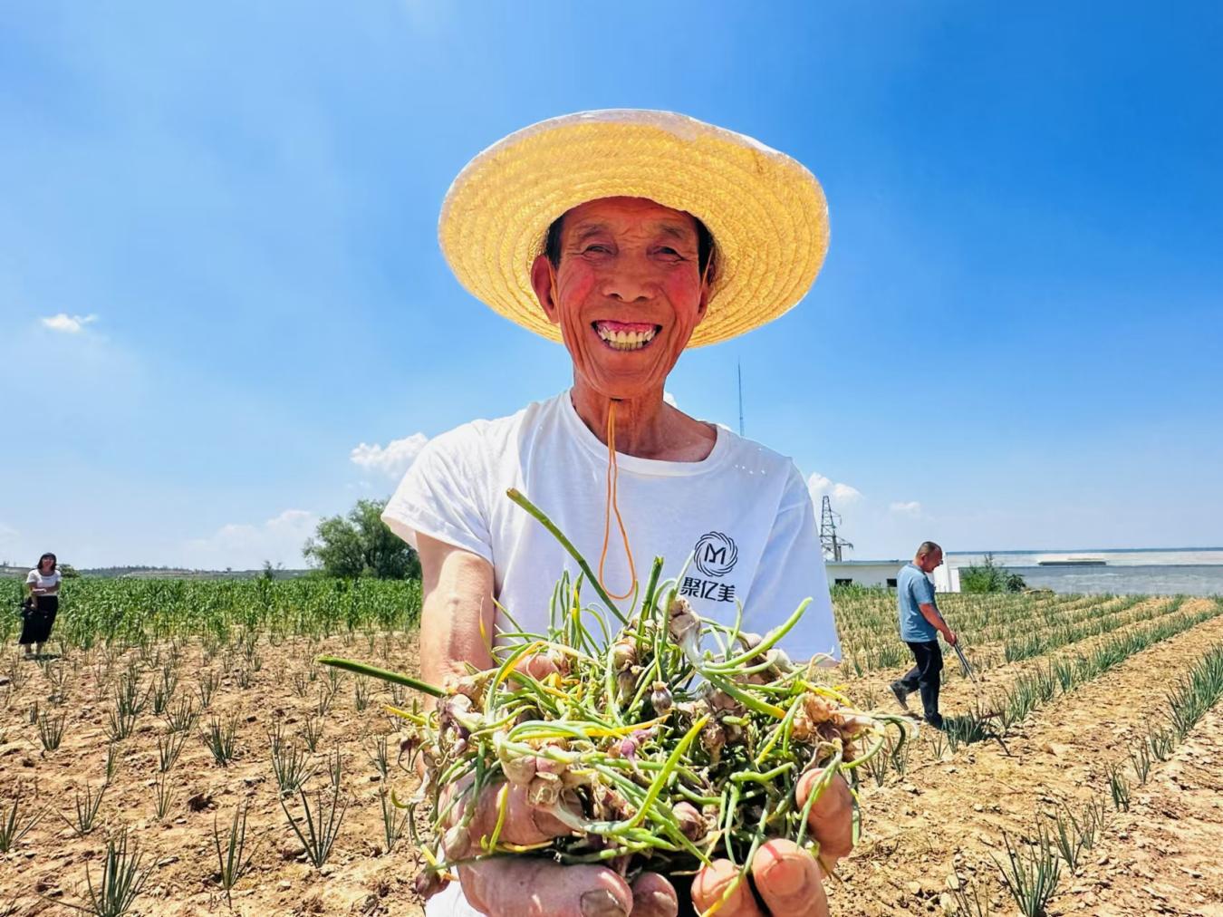 842f8893fe564c70b89f0ddf2d703a6a.jpeg 842f8893fe564c70b89f0ddf2d703a6a.jpeg