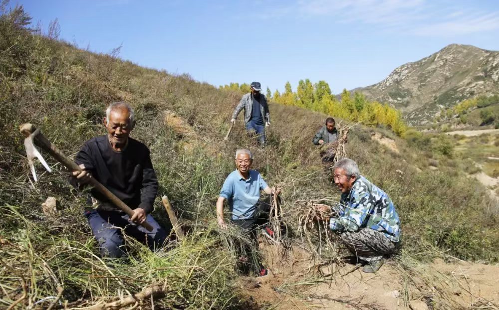 微信图片_20240922201131.jpg 微信图片_20240922201131.jpg