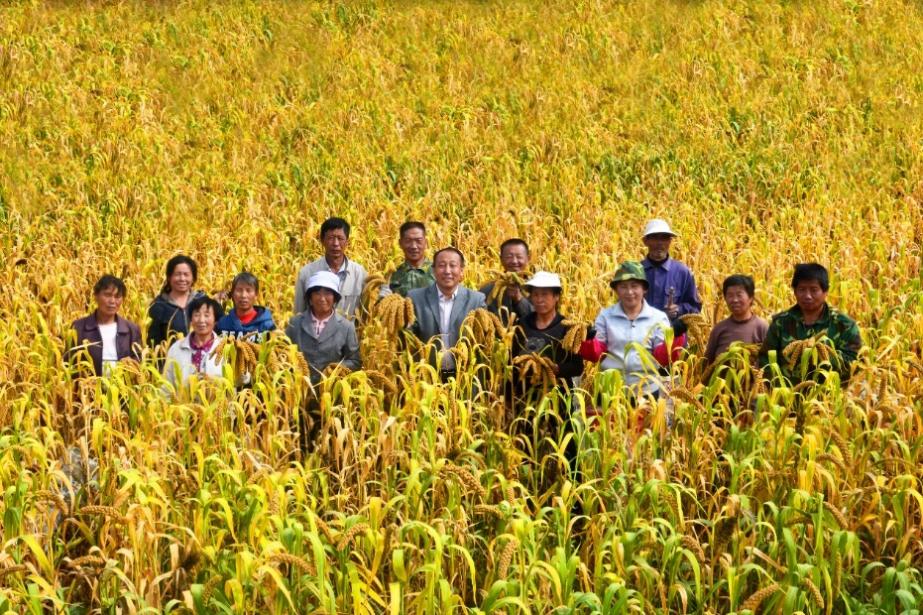 3fa70d68210c4ae4a3a9904ccc5ef69d.jpeg 3fa70d68210c4ae4a3a9904ccc5ef69d.jpeg