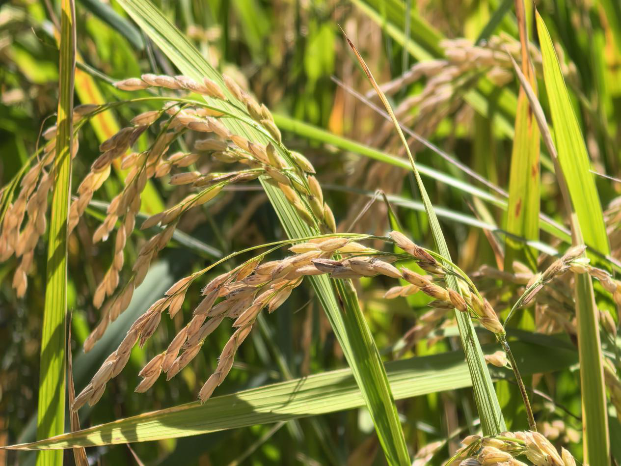 262948208601722880.png 262948208601722880.png