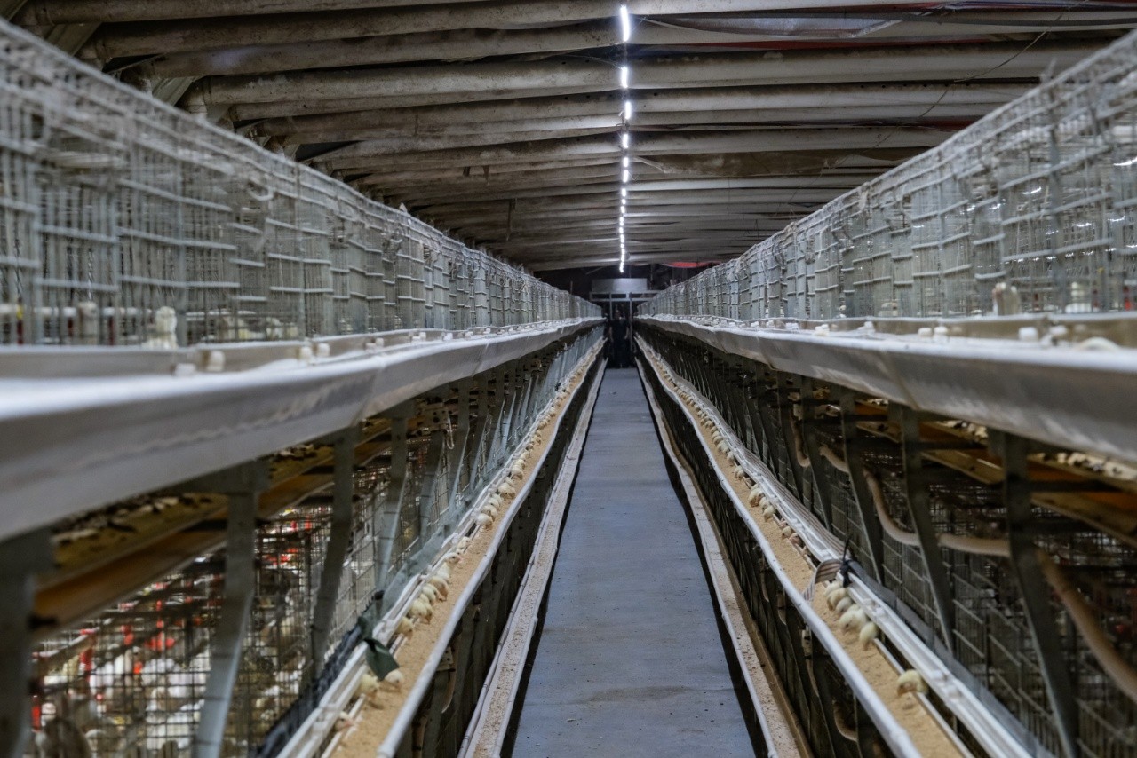 263057951315980289.jpg 263057951315980289.jpg