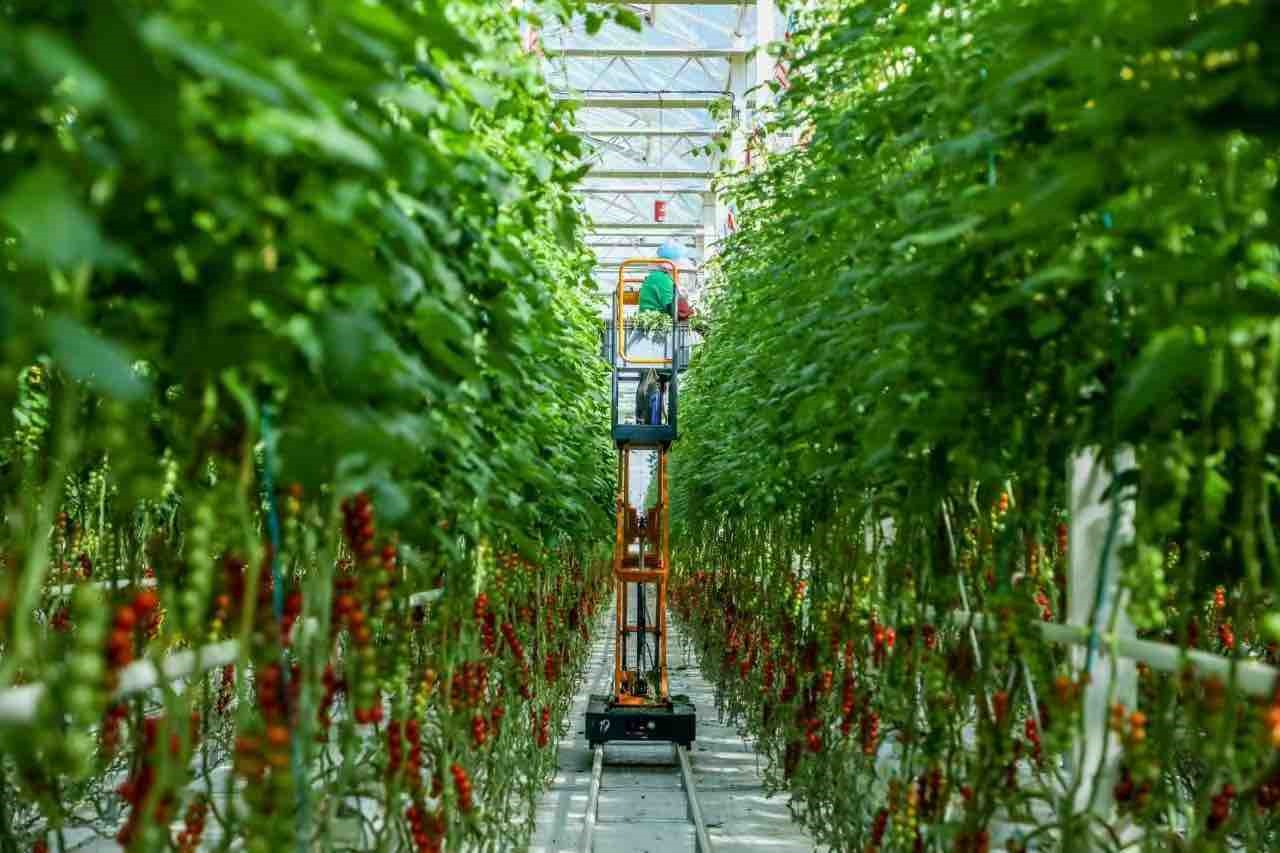 263057958416936960.jpg 263057958416936960.jpg