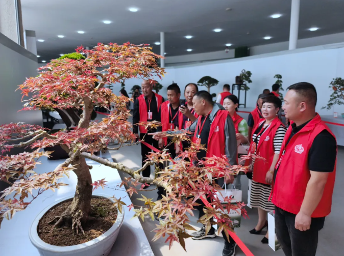 图片8.png 7bdb0fa23a40464d82d269988f87621c.png