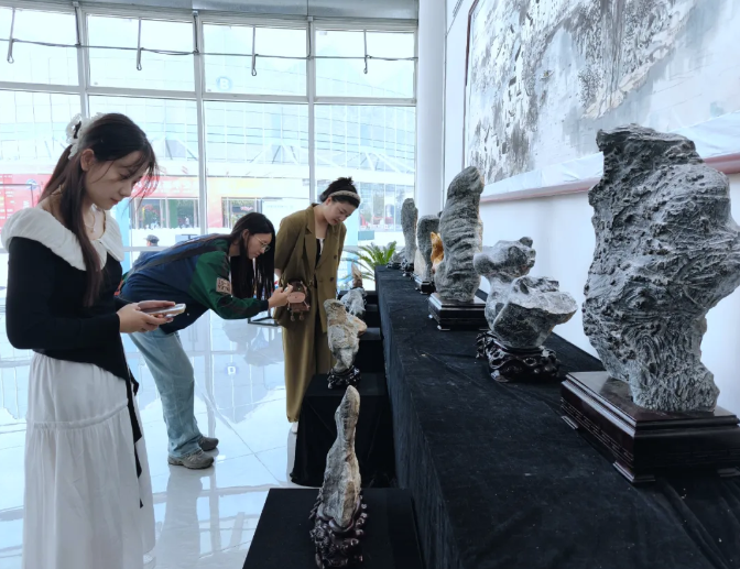 图片7.png 6522b37df2db4e45b874ac3a7999624c.png