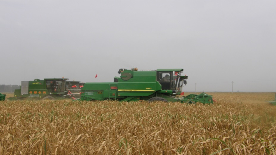 图片1.png 809fcca036fb48c78d75a5ba6c5ad3fc.png