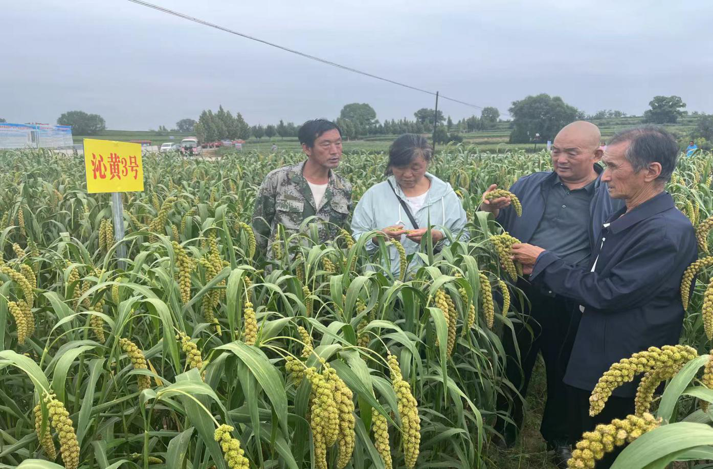 图片2.png 331676ecbd31440e86942914ca8e040f.png