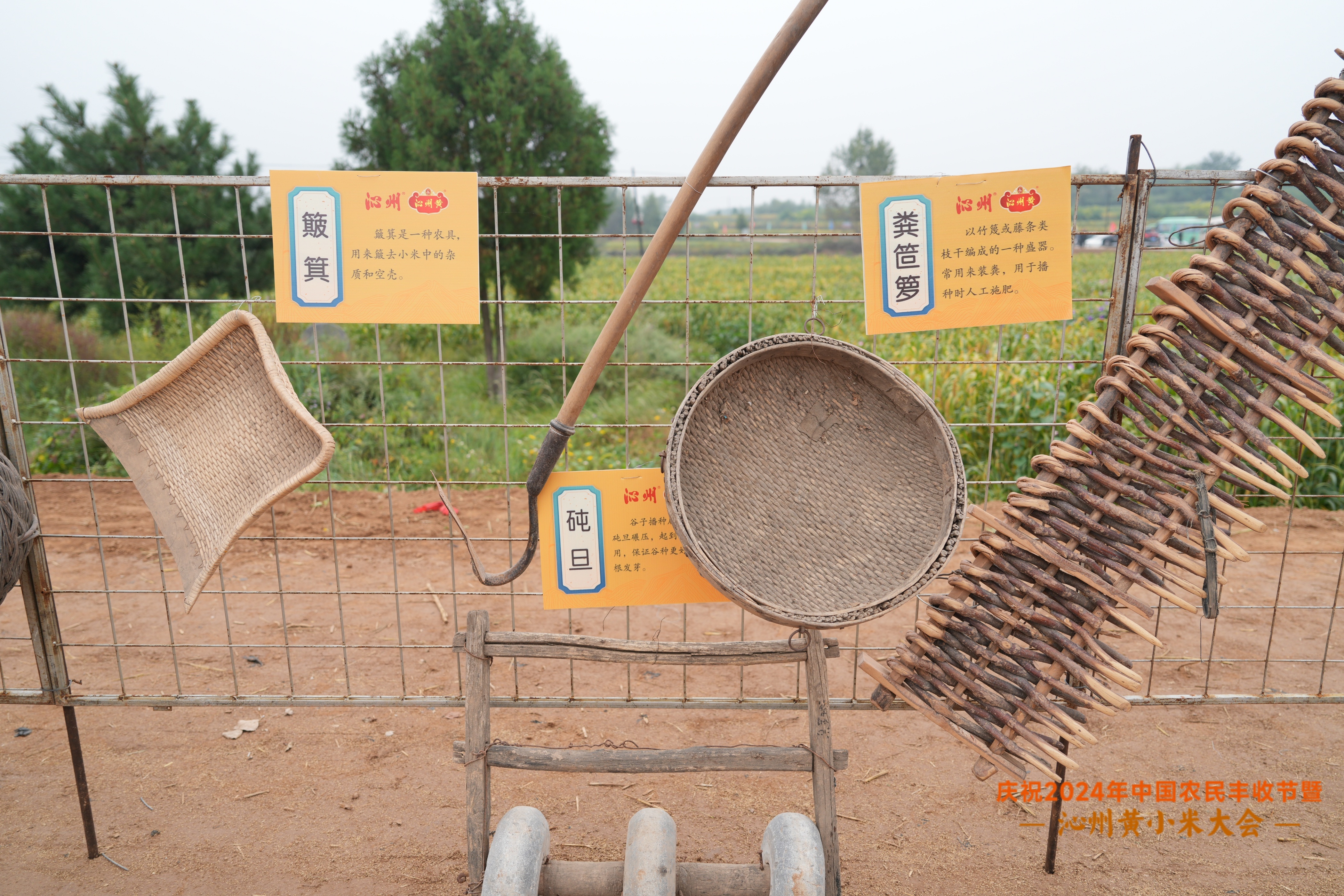 DSC06549.JPG DSC06549.JPG