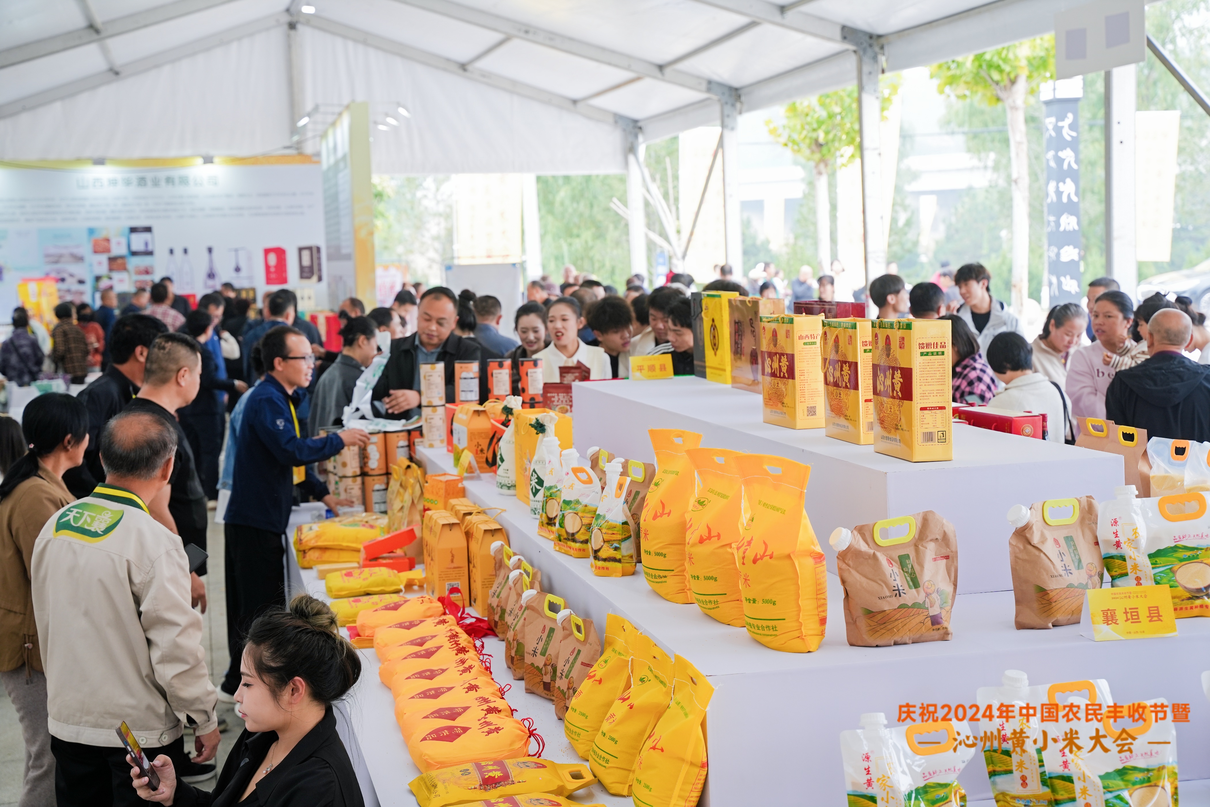 DSC01122.JPG 08003cf6e9eb4f81aa5910e2ce6f0a4f.jpeg