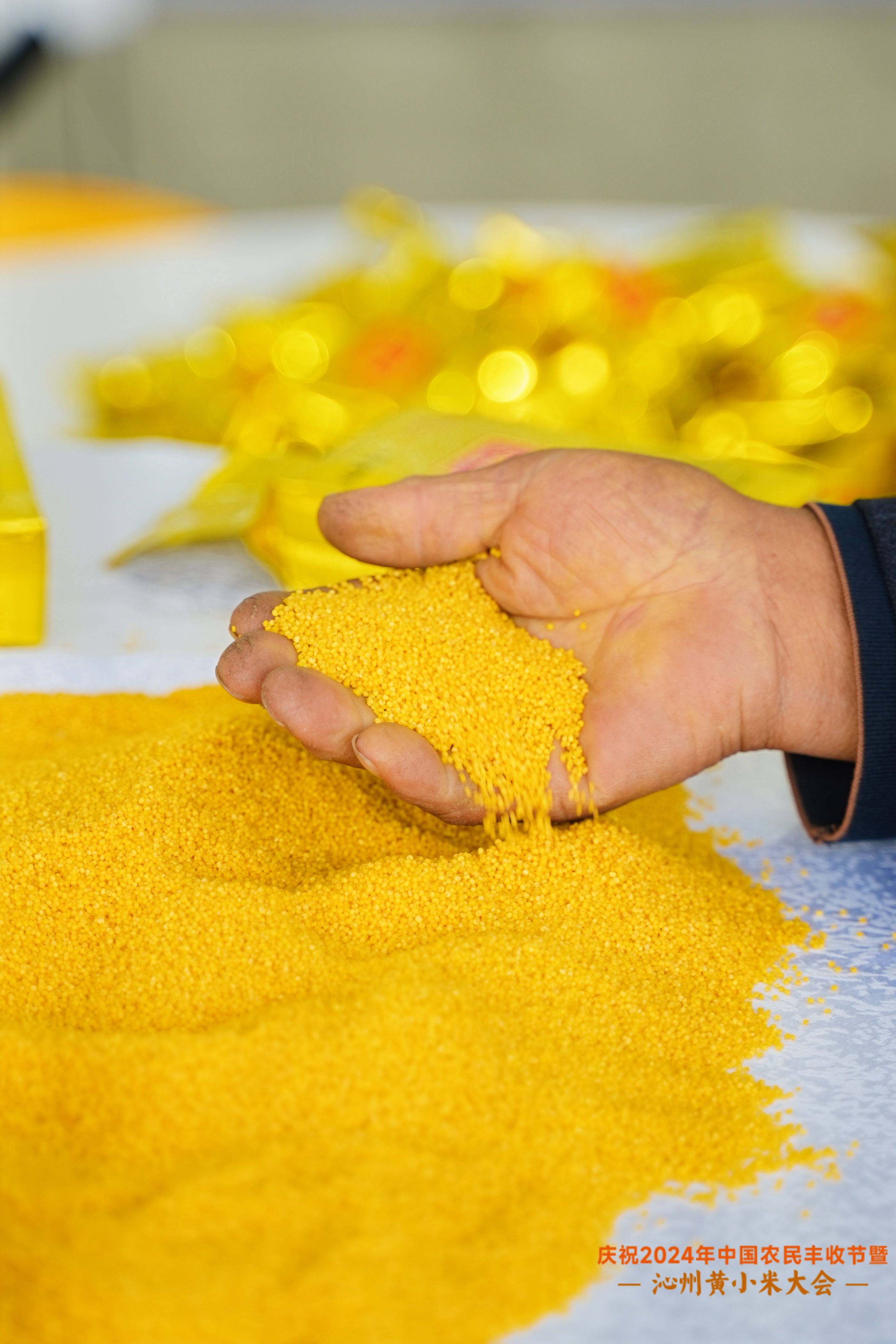 DSC01132.JPG DSC01132.JPG