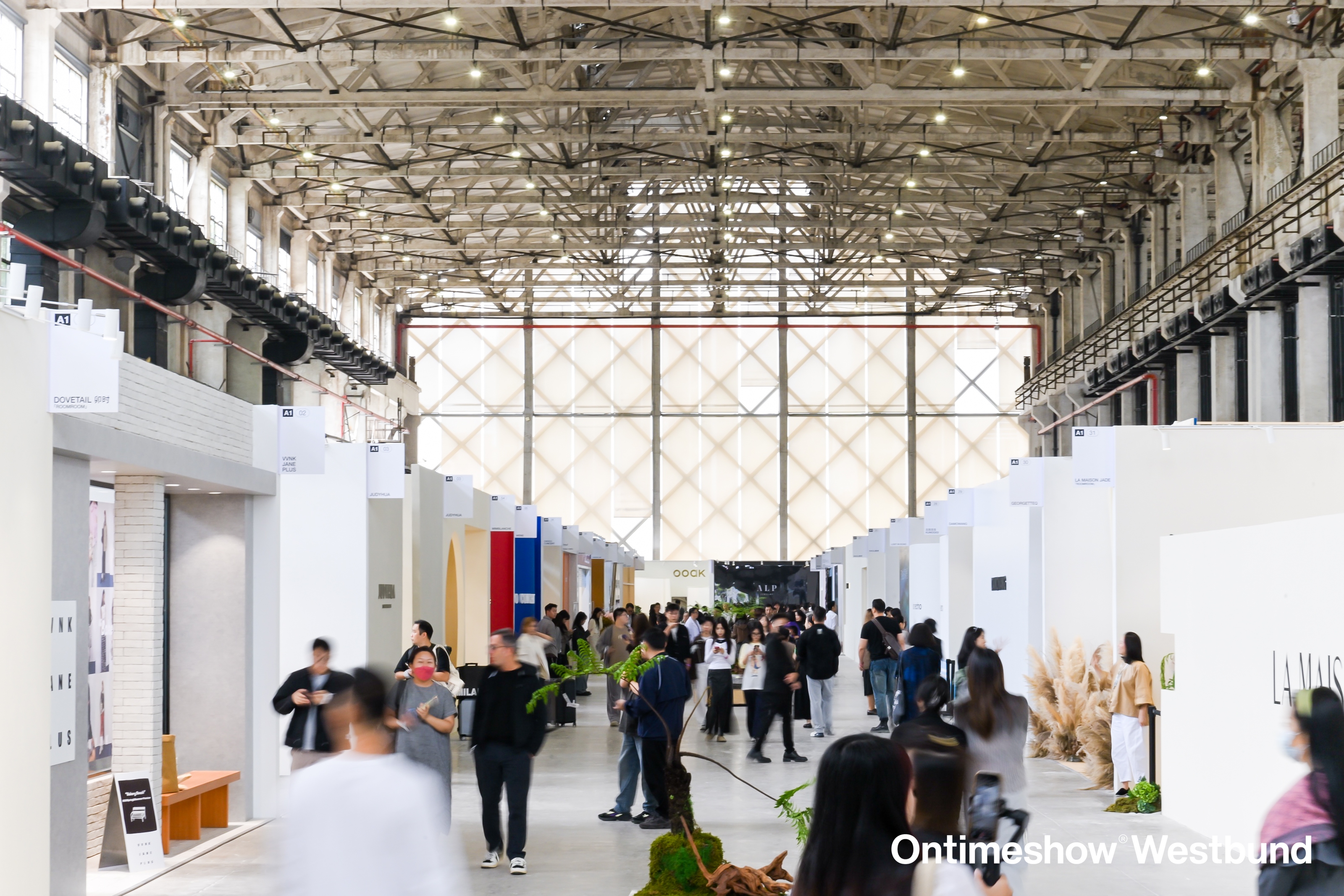 ANT3472.JPG ANT3472.JPG