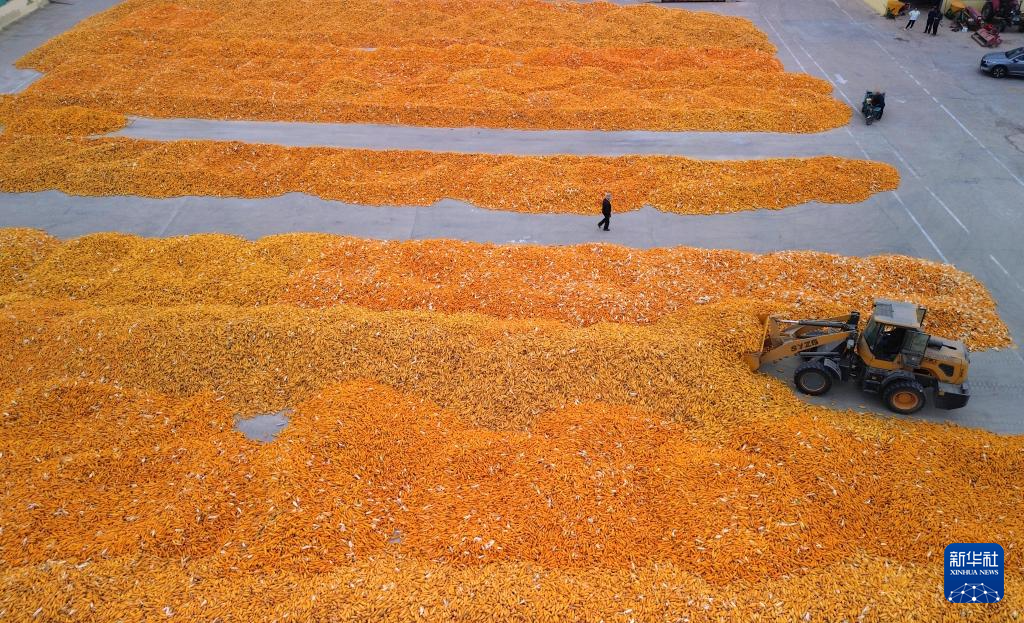 269914051910774785.jpg 269914051910774785.jpg