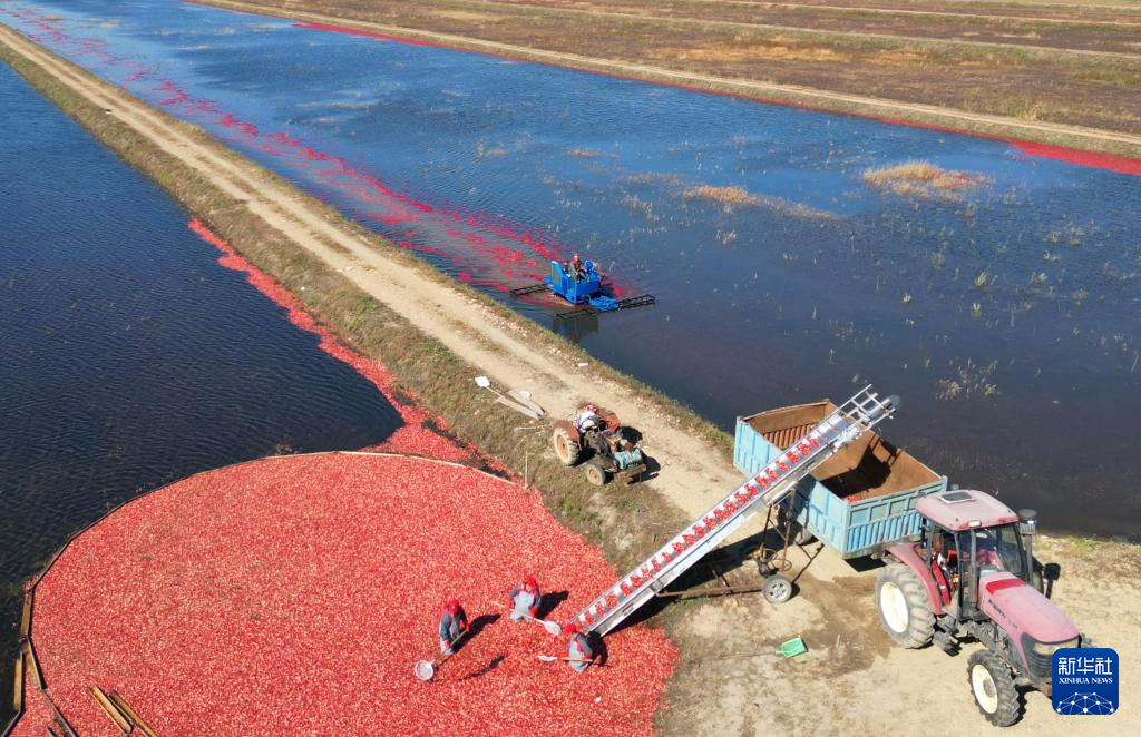 269914072500613121.jpg 269914072500613121.jpg