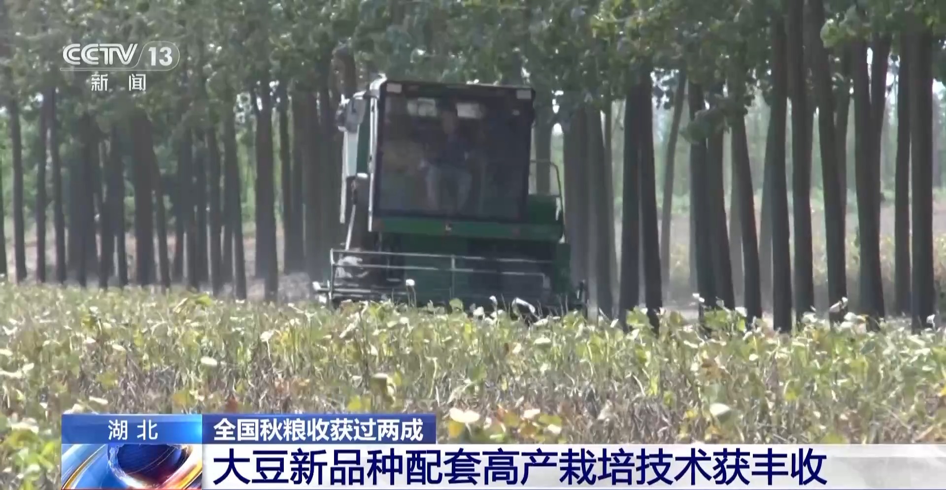 269914063914872833.jpg 269914063914872833.jpg