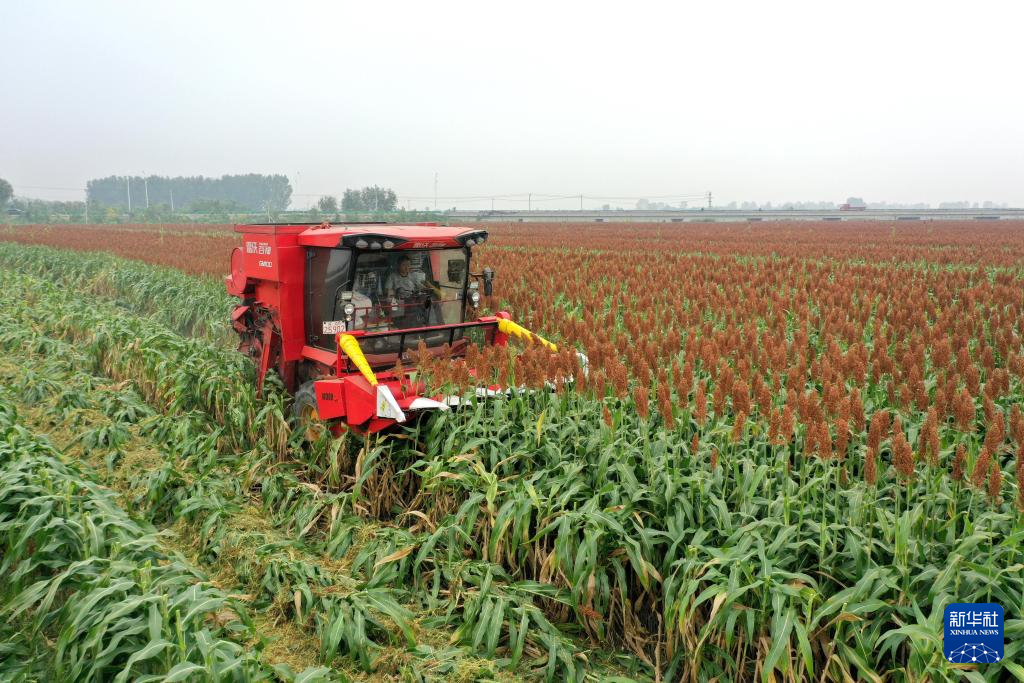 269914049524215809.jpg 269914049524215809.jpg