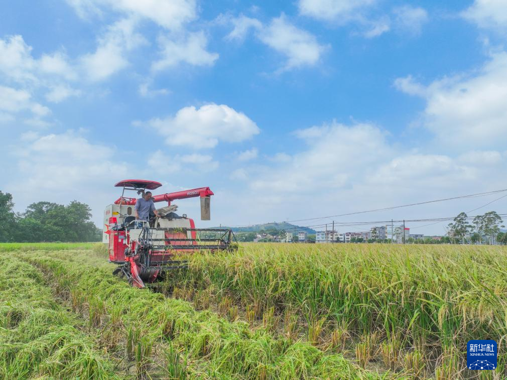 269914065978470401.jpg 269914065978470401.jpg