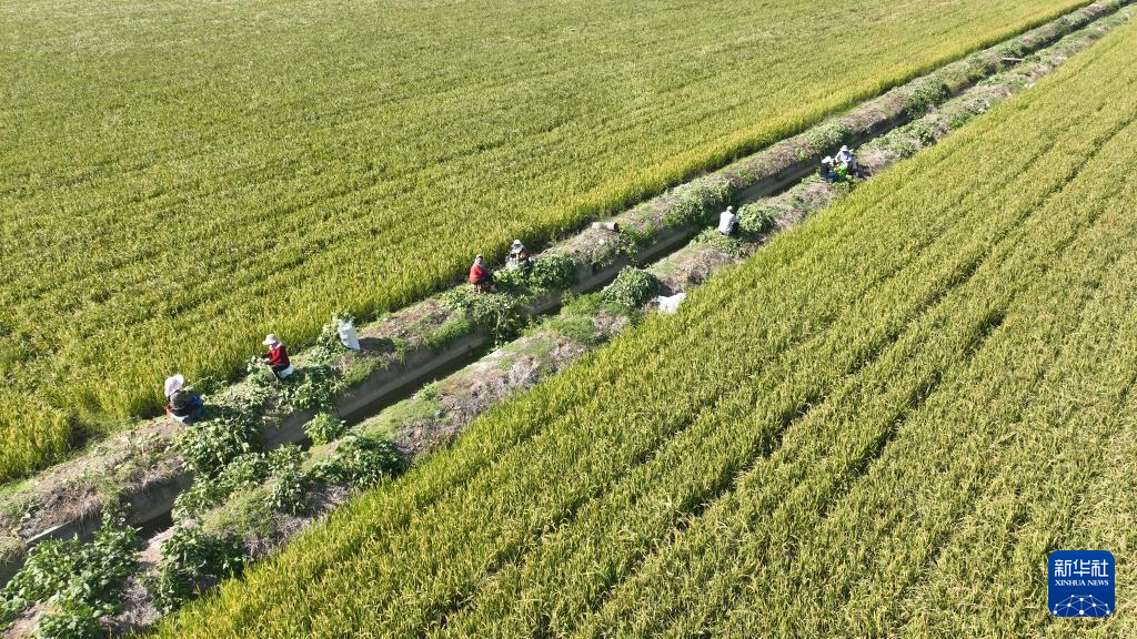 269914059041091584.jpg 269914059041091584.jpg