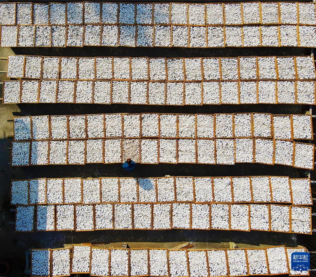 269914068604104705.jpg 269914068604104705.jpg