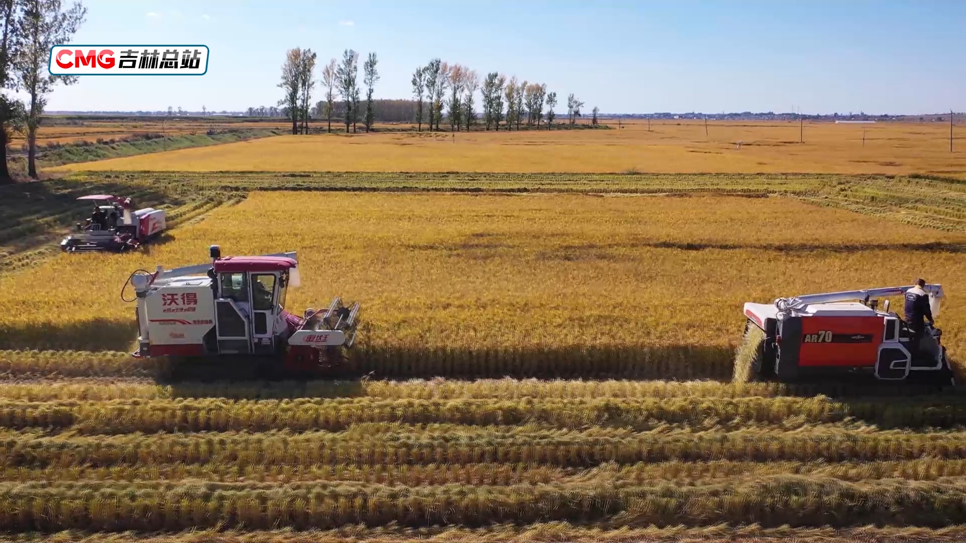 269914054687404033.jpg 269914054687404033.jpg