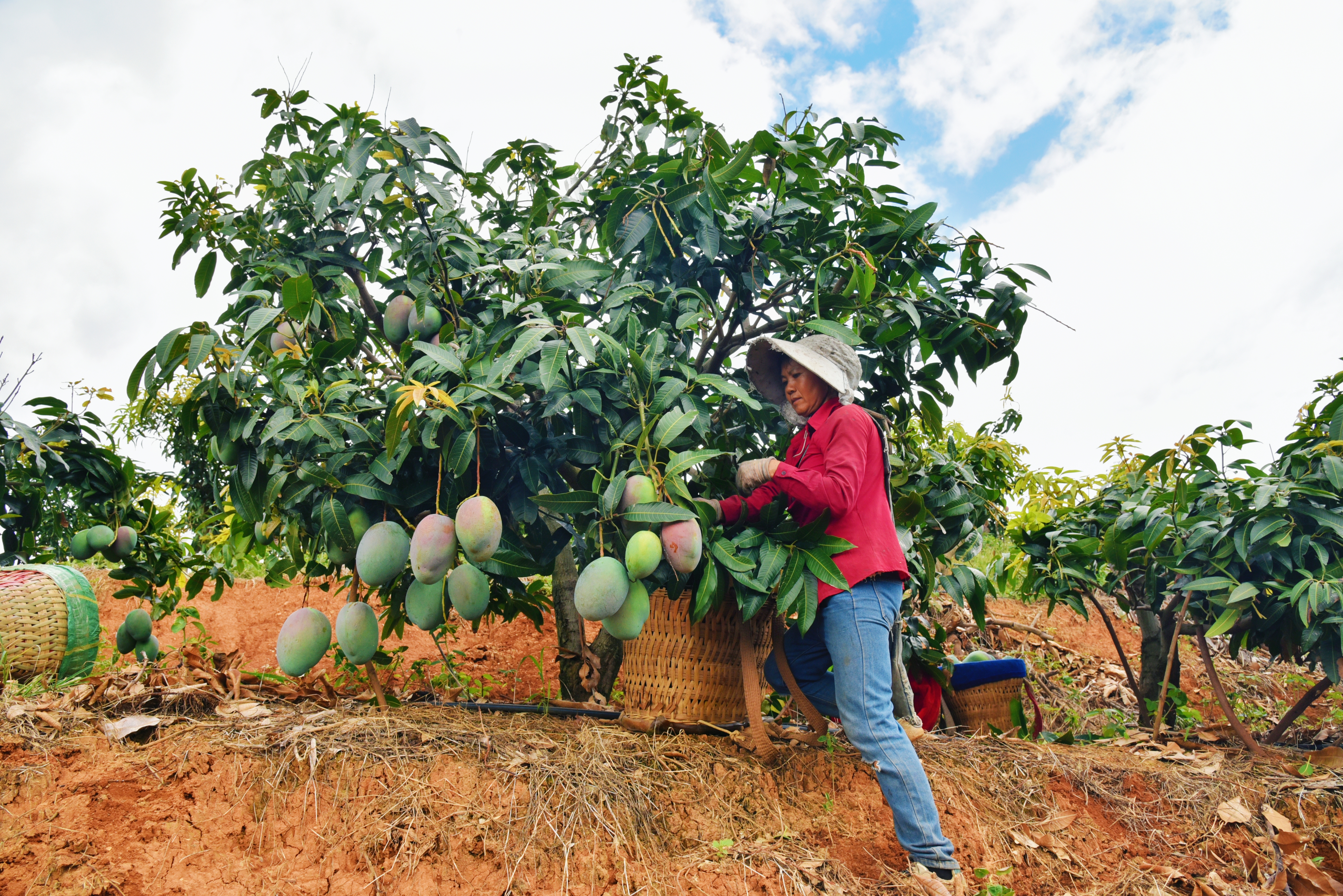 271371817267556353.jpg 271371817267556353.jpg