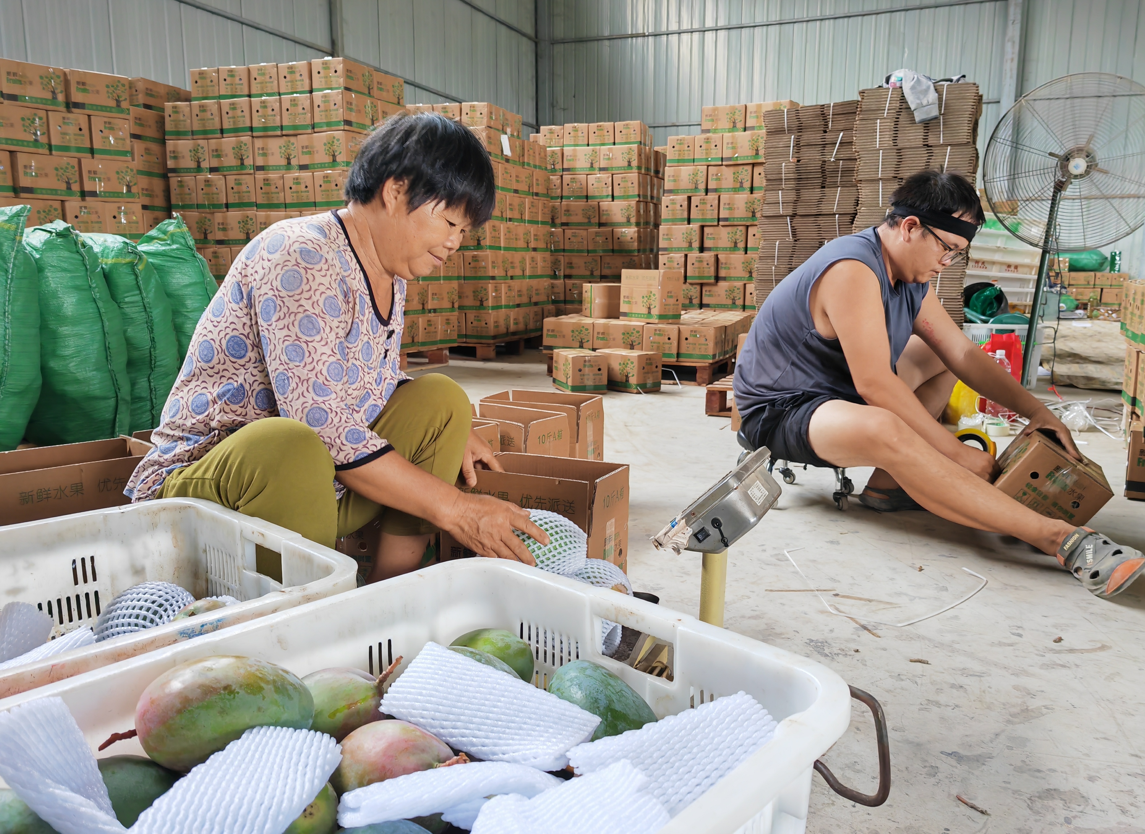 271371827157725185.jpg 271371827157725185.jpg