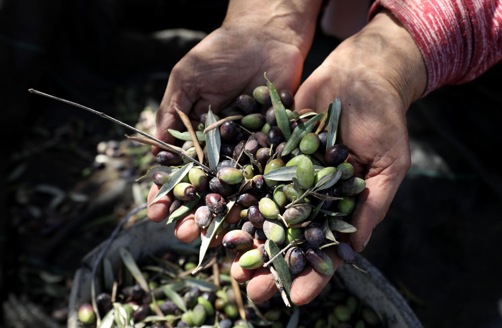 271698847158743040.jpg 271698847158743040.jpg