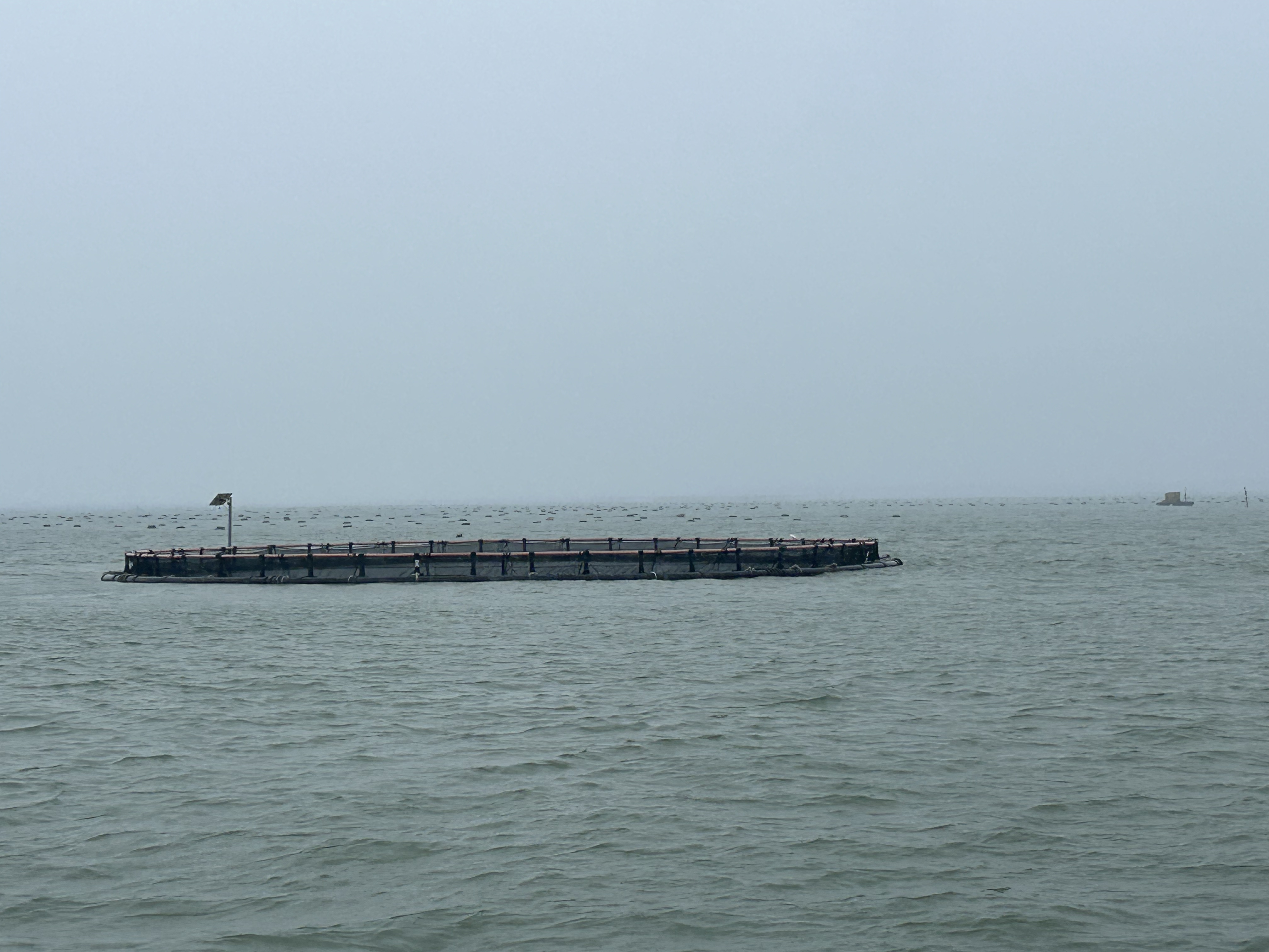 491141417.jpg b6fcbd16f54e49b78eac66b9e1b473f0.jpeg