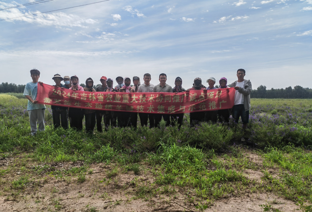 ccebee20bbe042d088e28922a06d8465.png ccebee20bbe042d088e28922a06d8465.png