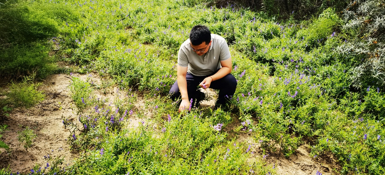 bb4f707551f94ee8a4d070c15c628bed.png bb4f707551f94ee8a4d070c15c628bed.png