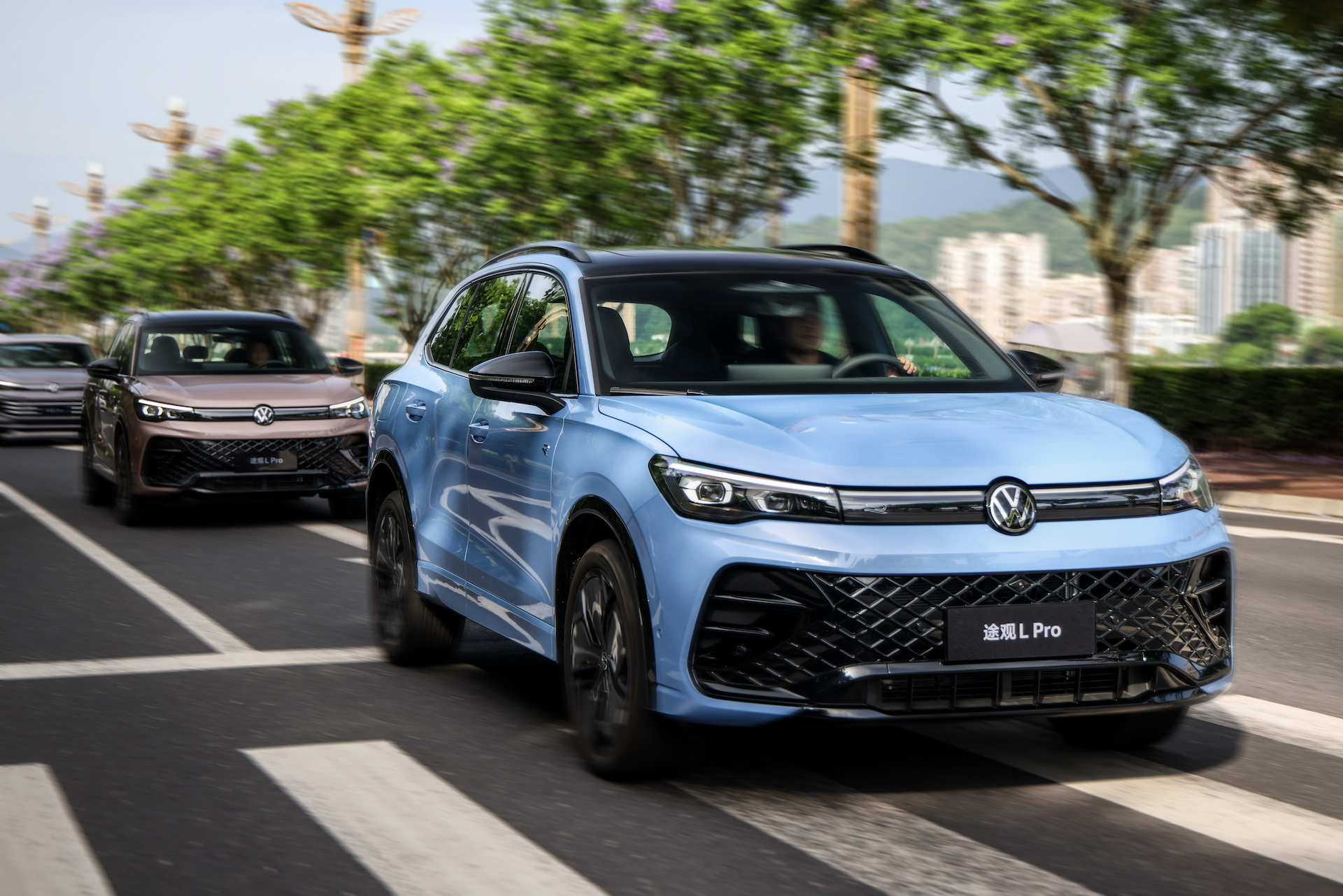 image005.jpg image005.jpg