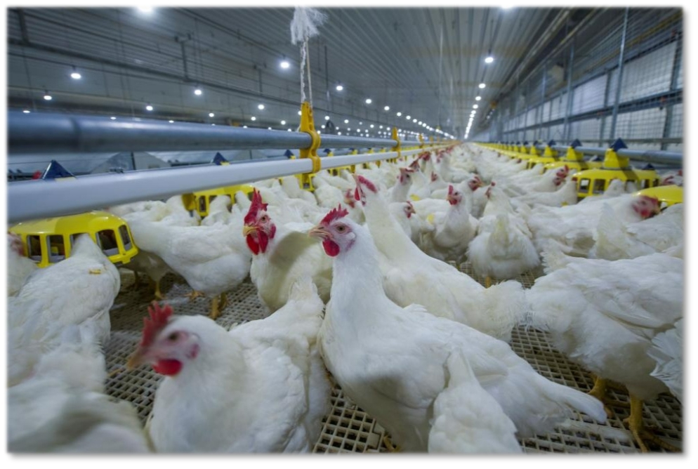 图片10.jpg 图片10.jpg