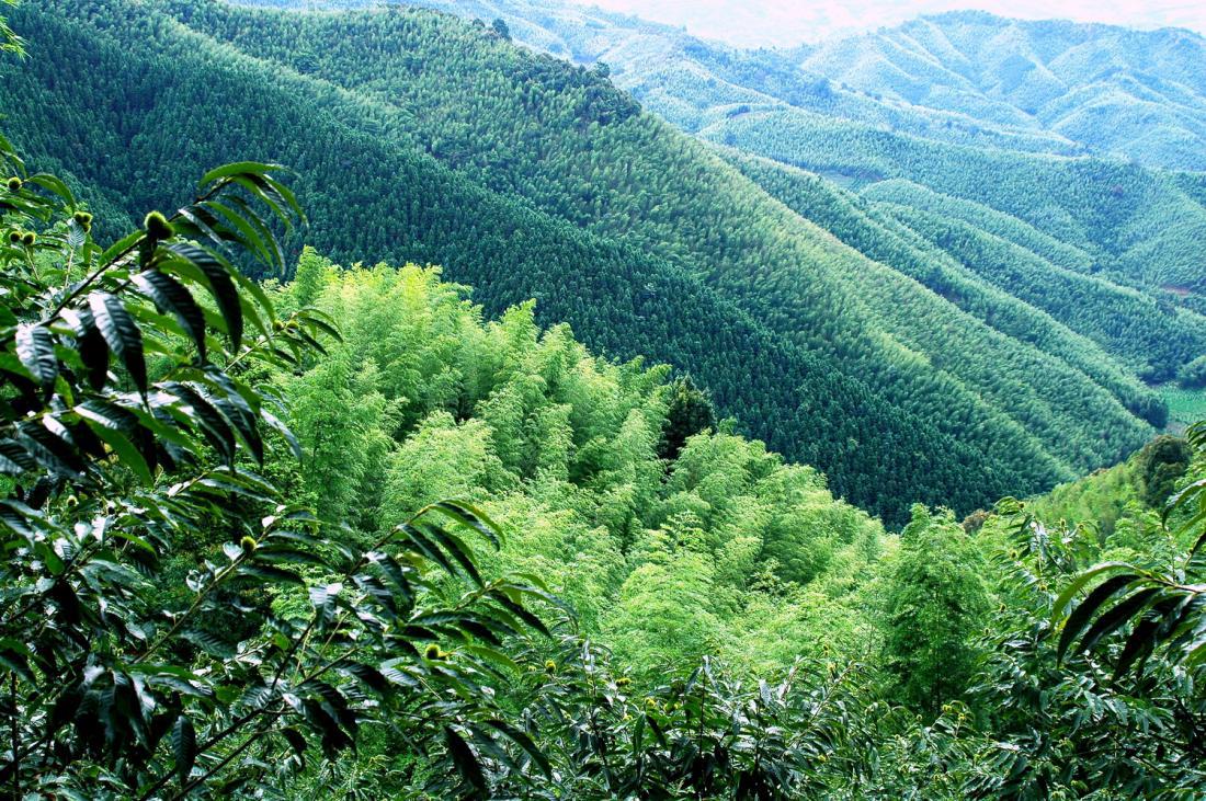 图片1.jpg 图片1.jpg