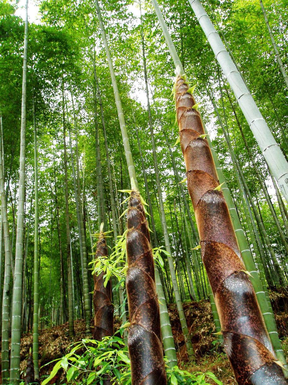 图片2.jpg 图片2.jpg