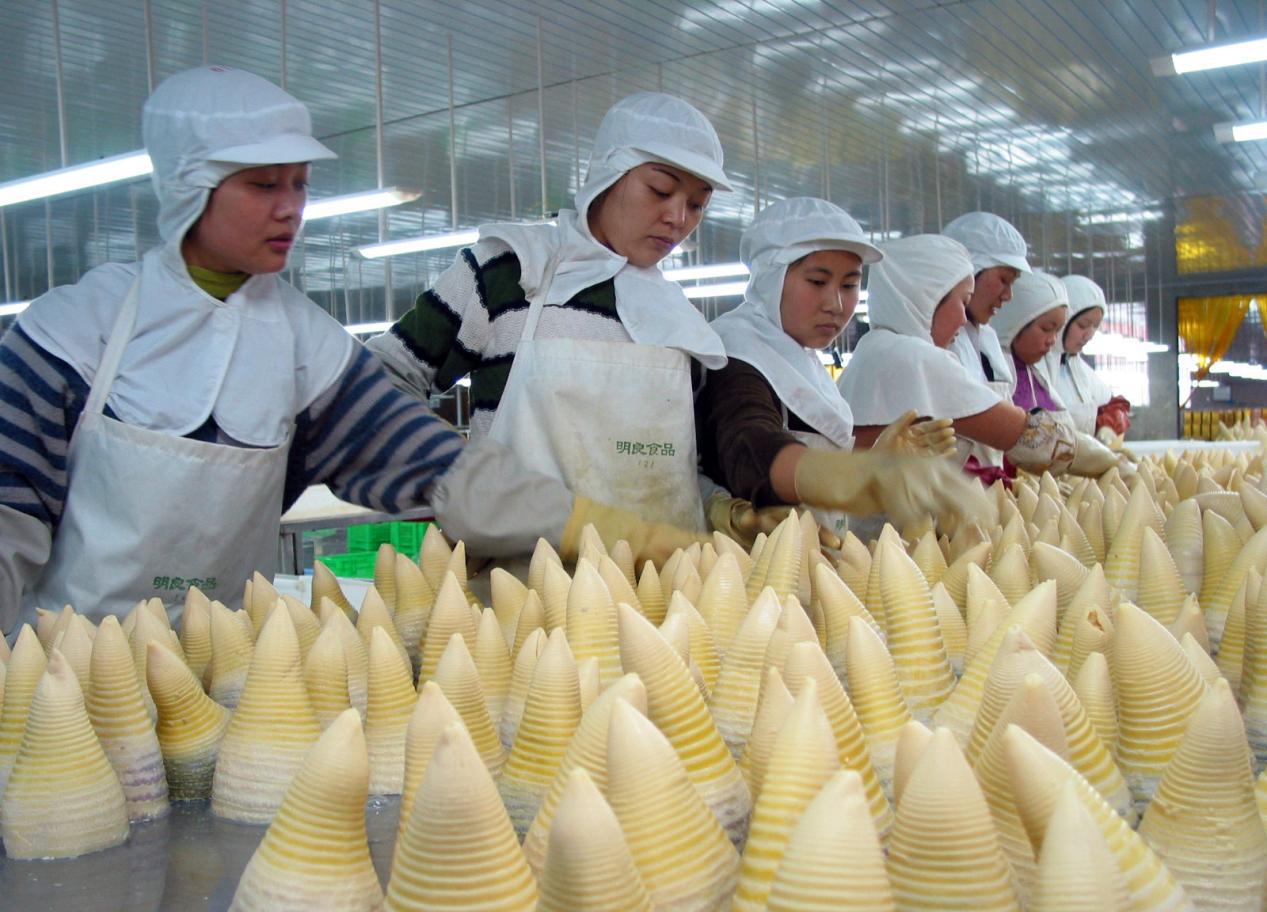 图片4.jpg 图片4.jpg