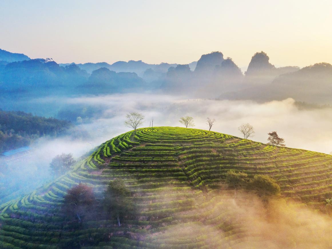 图片1.jpg 4de837aa9fed4116a8528347b38d1e2d.jpeg