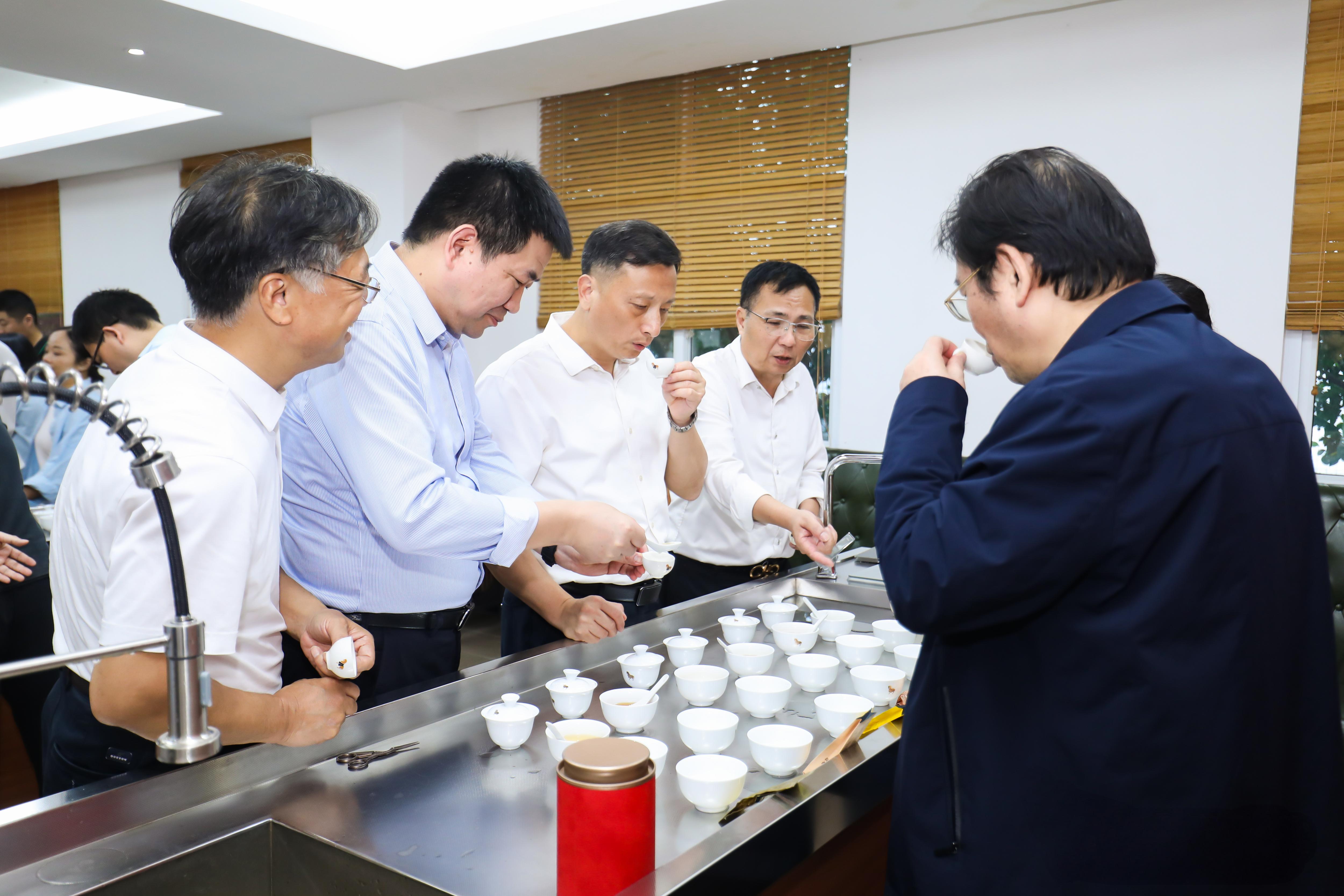 茶叶新品种成果分享.jpg edc3fb06b00848ecb6a49af33c8f1853.jpeg