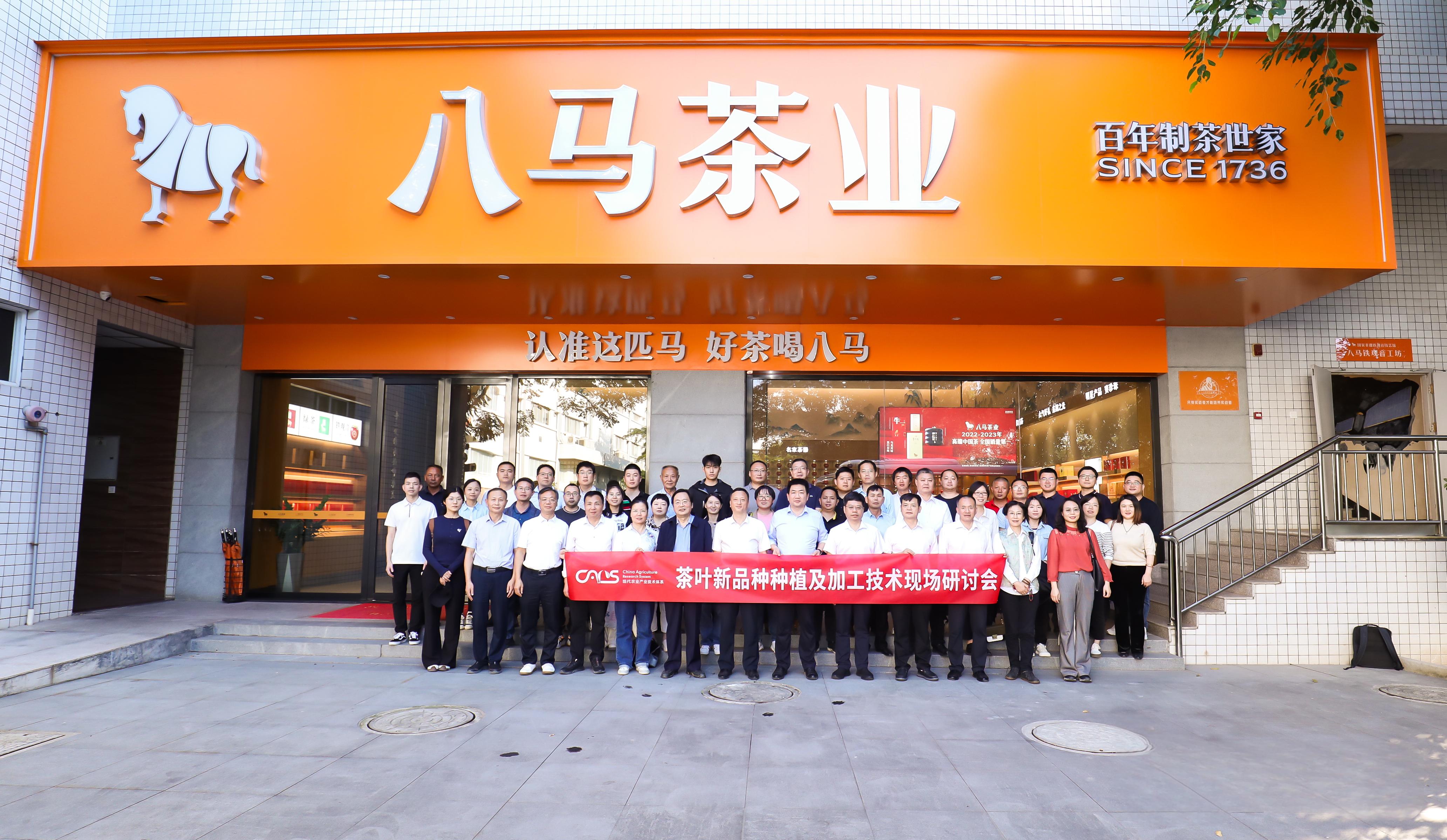 国家茶叶产业技术体系茶树新品种种植及加工技术示范现场会 (3).jpg c0bec3a3fa8443c2892833b2e10d6e67.jpeg