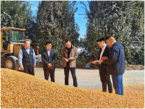 53ba37114b814aa9a6f7747cc6ccc476.png 53ba37114b814aa9a6f7747cc6ccc476.png