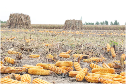 11874f0f958f407d9083047def46d5bc.png 11874f0f958f407d9083047def46d5bc.png