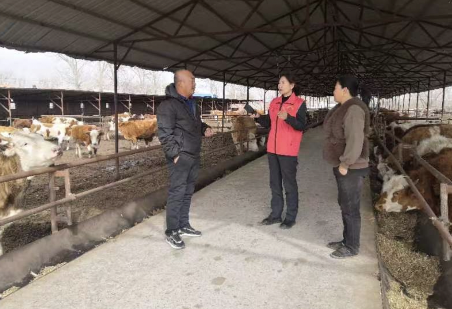 282546765872803841.png 282546765872803841.png