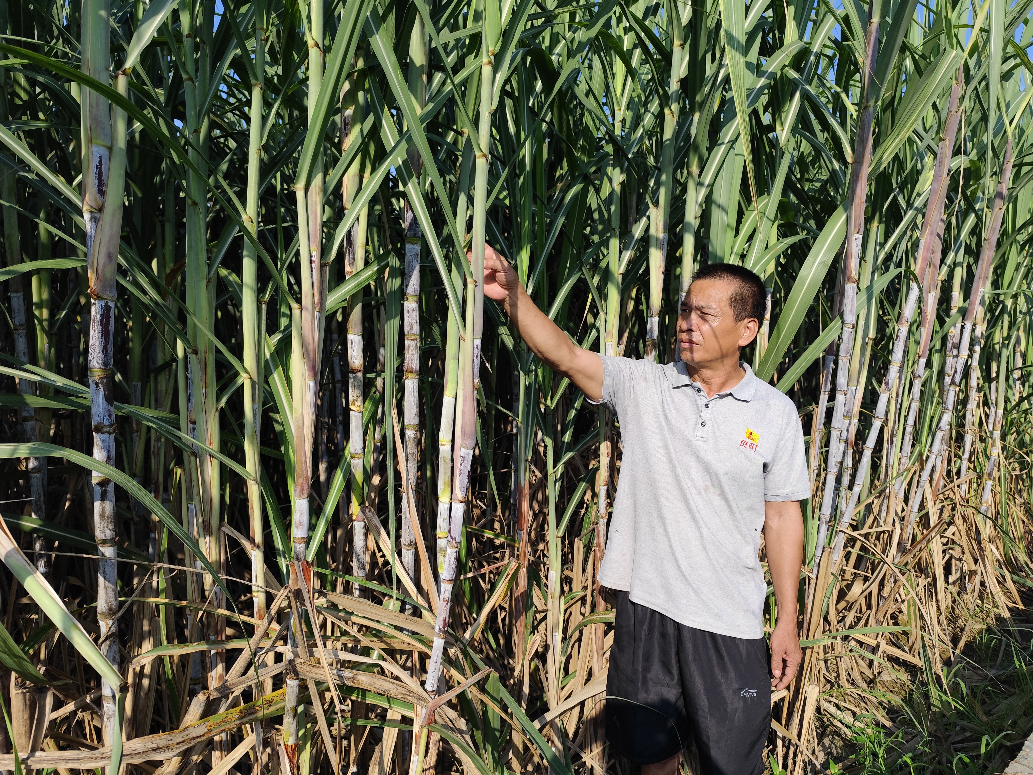 81c1c415c4134d22b5f201b4a926d0f1.jpg 81c1c415c4134d22b5f201b4a926d0f1.jpg