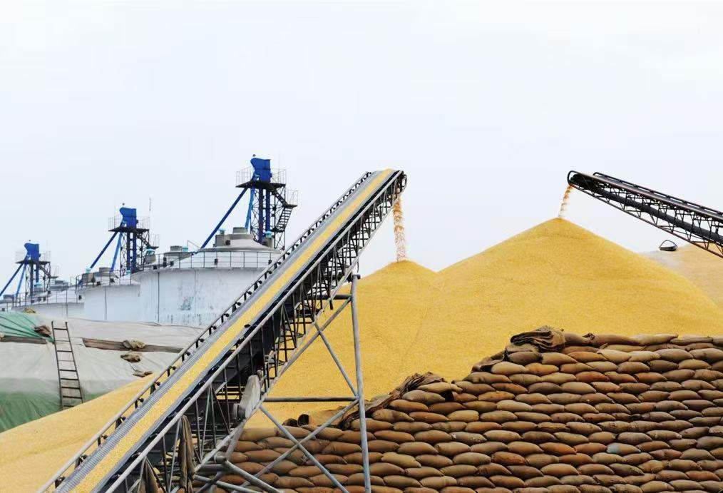 图片1.png c423a709eb1047f08be28dd4a5495fe1.png