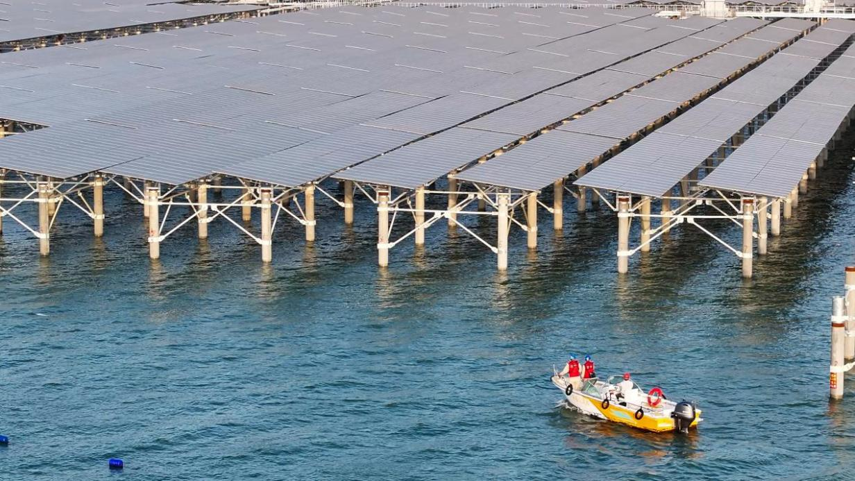 图片5.png 8ee381c105a441fbac076c8466f1ff0e.png