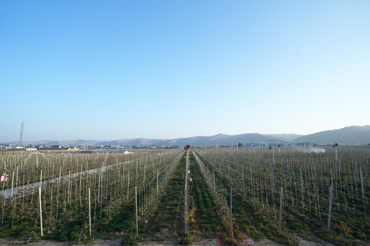 图片1.png 595d2b00928e4ab4bbc88ef4c8ebb745.png