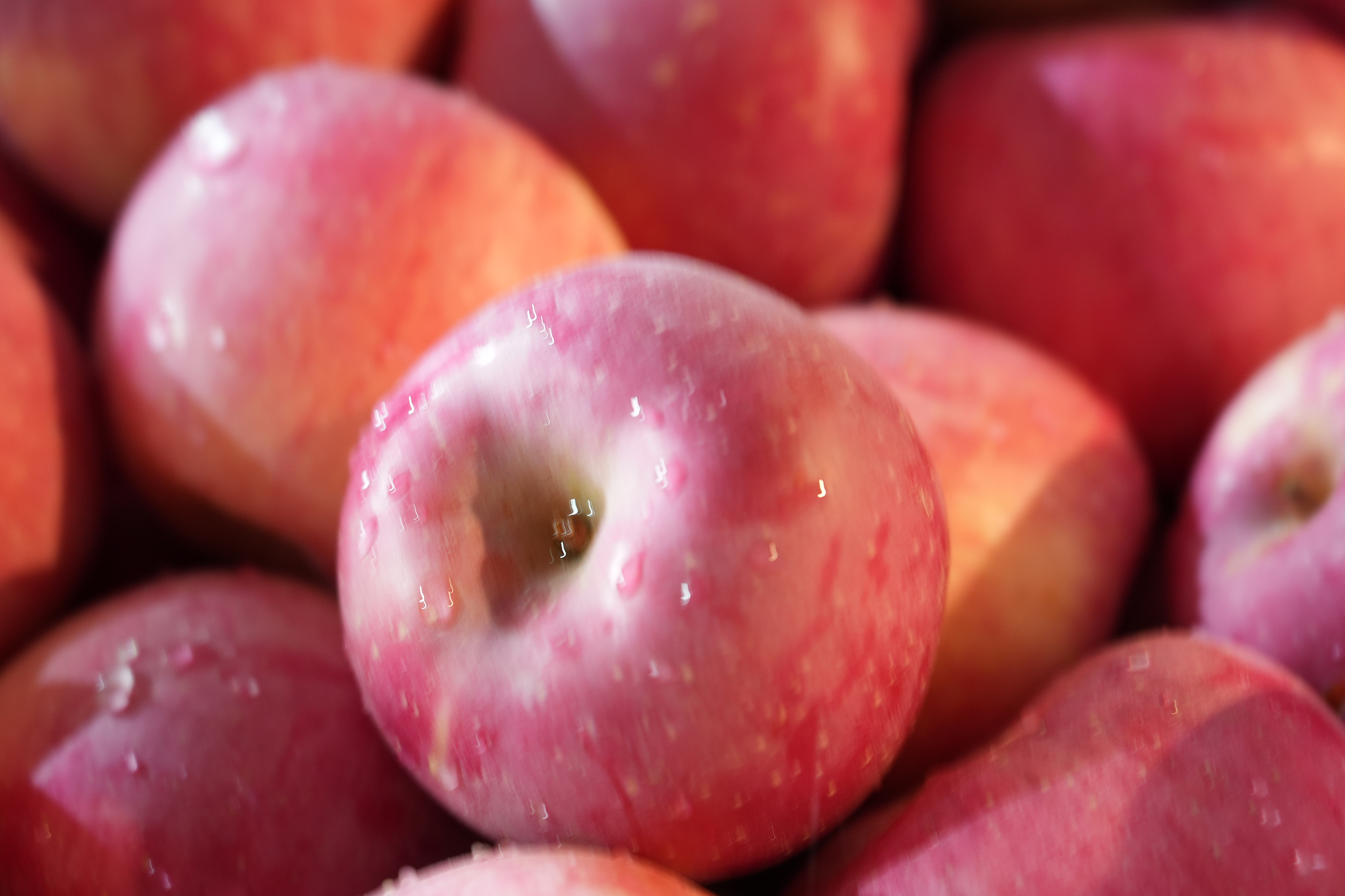 图片5.png 8ea7d720fb2d4bd59733d7b12dcc9746.png